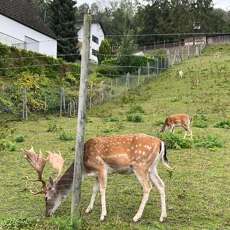Appartement Moselloft *