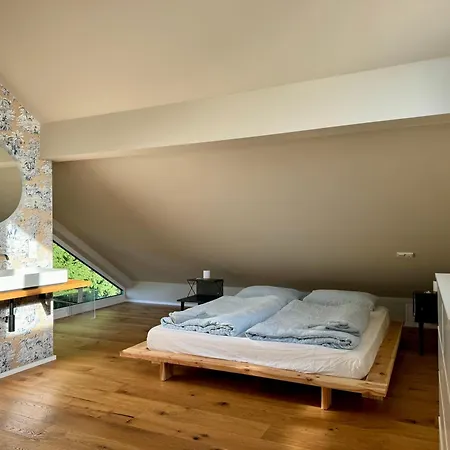 Klimatisiertes Moselloft Lägenhet Leiwen
